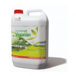 AMINOVIT VIGORION