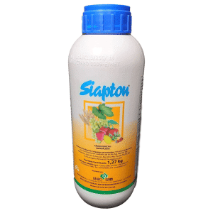 SIAPTON