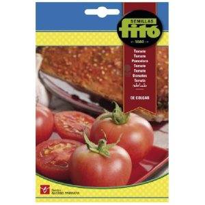 SEMILLAS DE TOMATE DE COLGAR